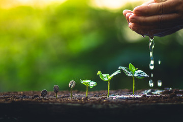 Roditelji su podr&scaron;ka deci